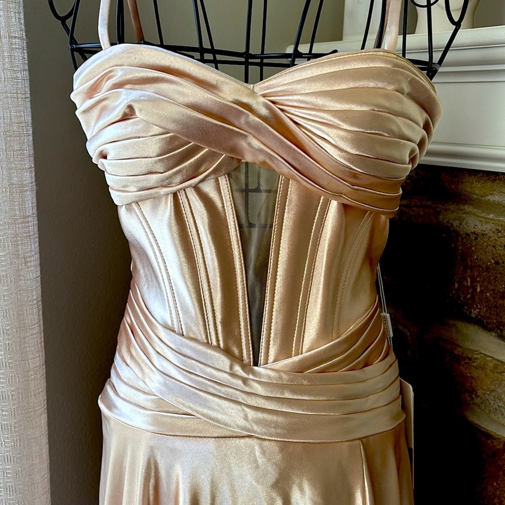 Stacees champagne Evening Gown/Prom dress - Picture 6 of 11